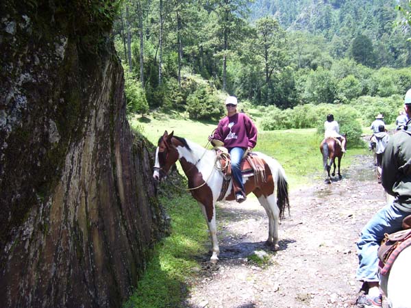 horsebackriding