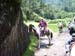 horsebackriding