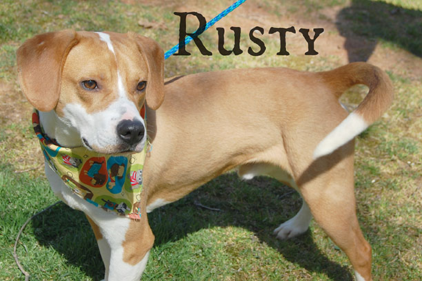 Rusty